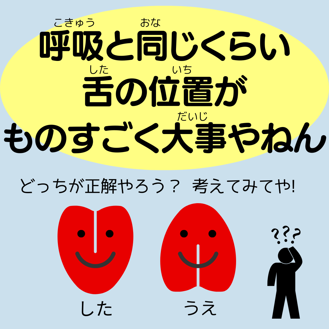 呼吸と歯並びの関係性👃〜vol.2