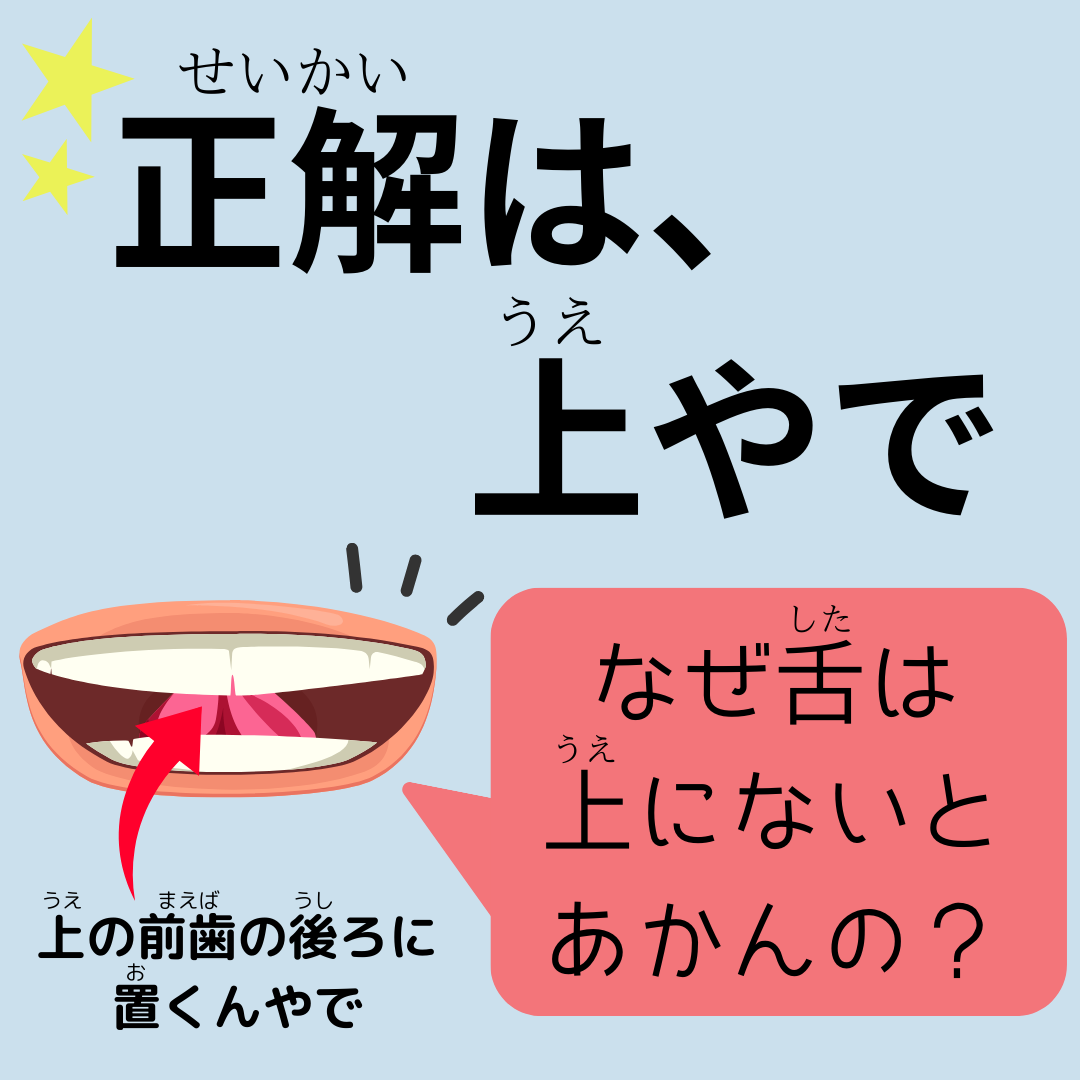 呼吸と歯並びの関係性👃〜vol.2