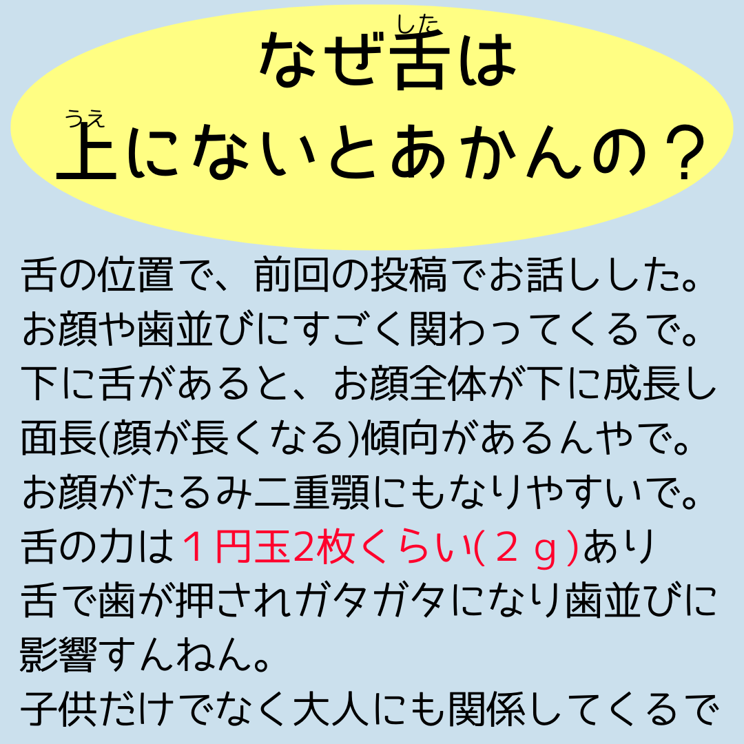 呼吸と歯並びの関係性👃〜vol.2