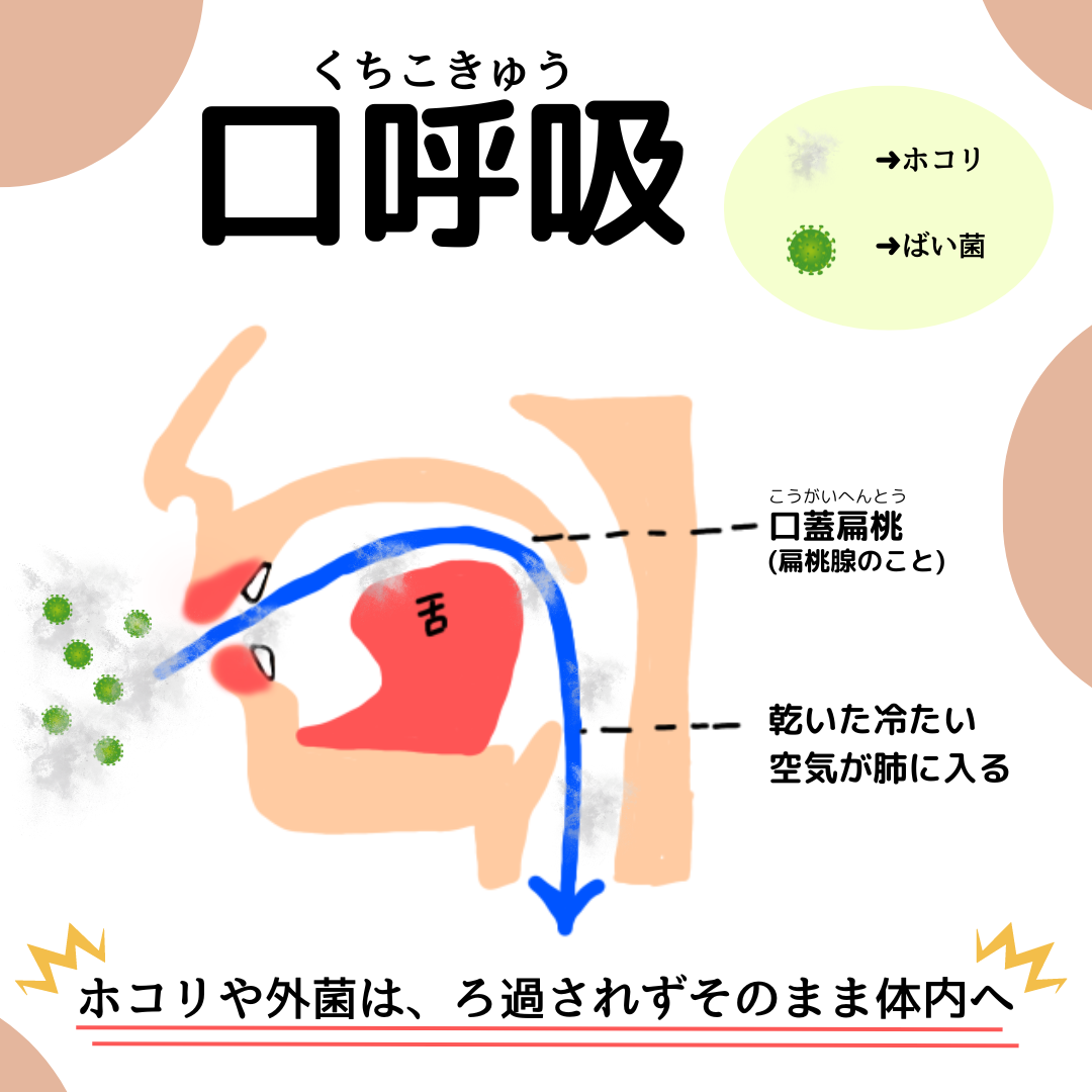 呼吸の仕組み🧘