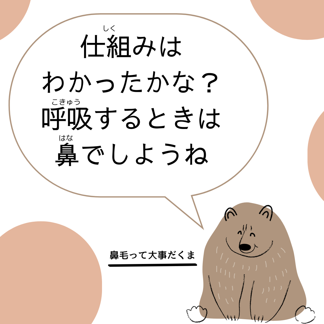 呼吸の仕組み🧘