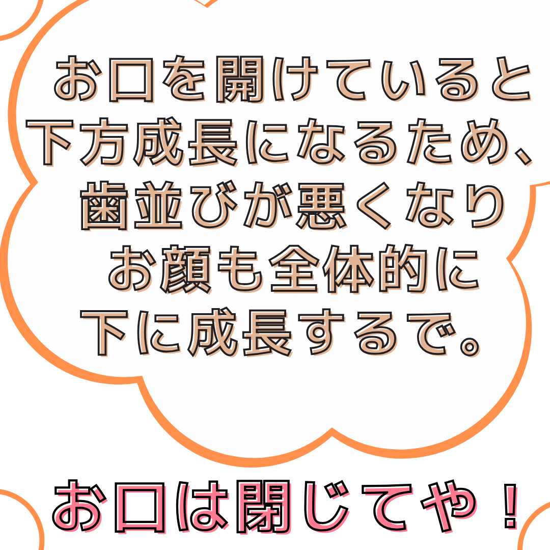 お顔の成長が歯並びに関わるお話
