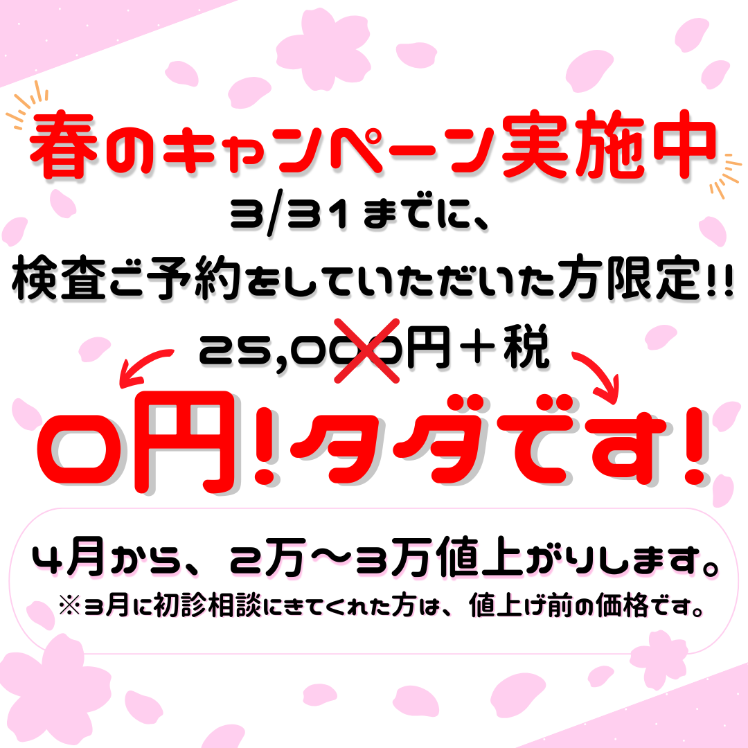春休みキャンペーン実施中！！(^^)/~~~🌸